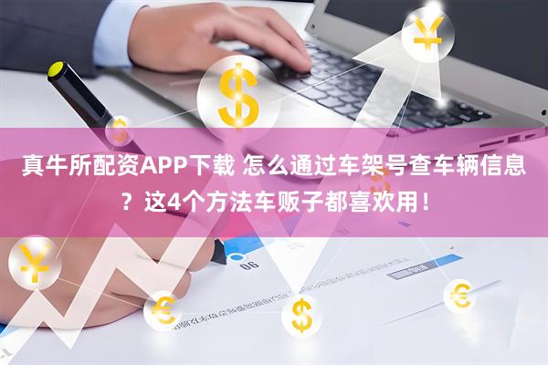 真牛所配资APP下载 怎么通过车架号查车辆信息？这4个方法车贩子都喜欢用！