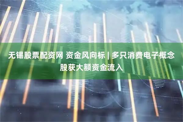 无锡股票配资网 资金风向标 | 多只消费电子概念股获大额资金流入